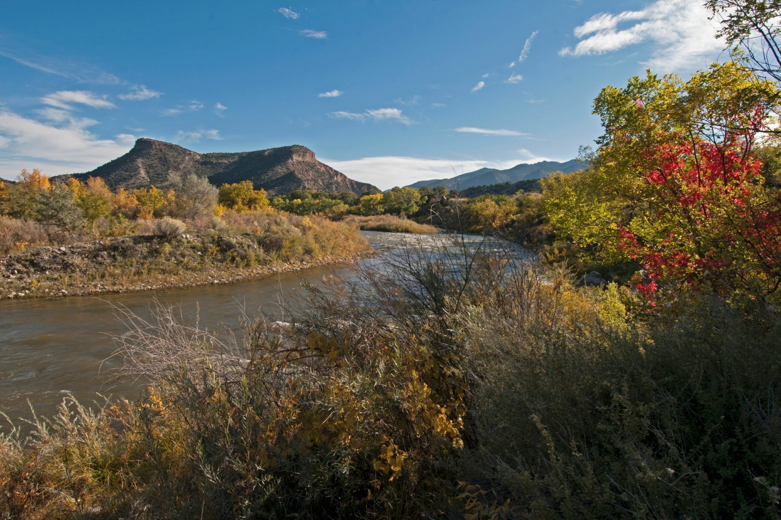 Promote Your Business (1)