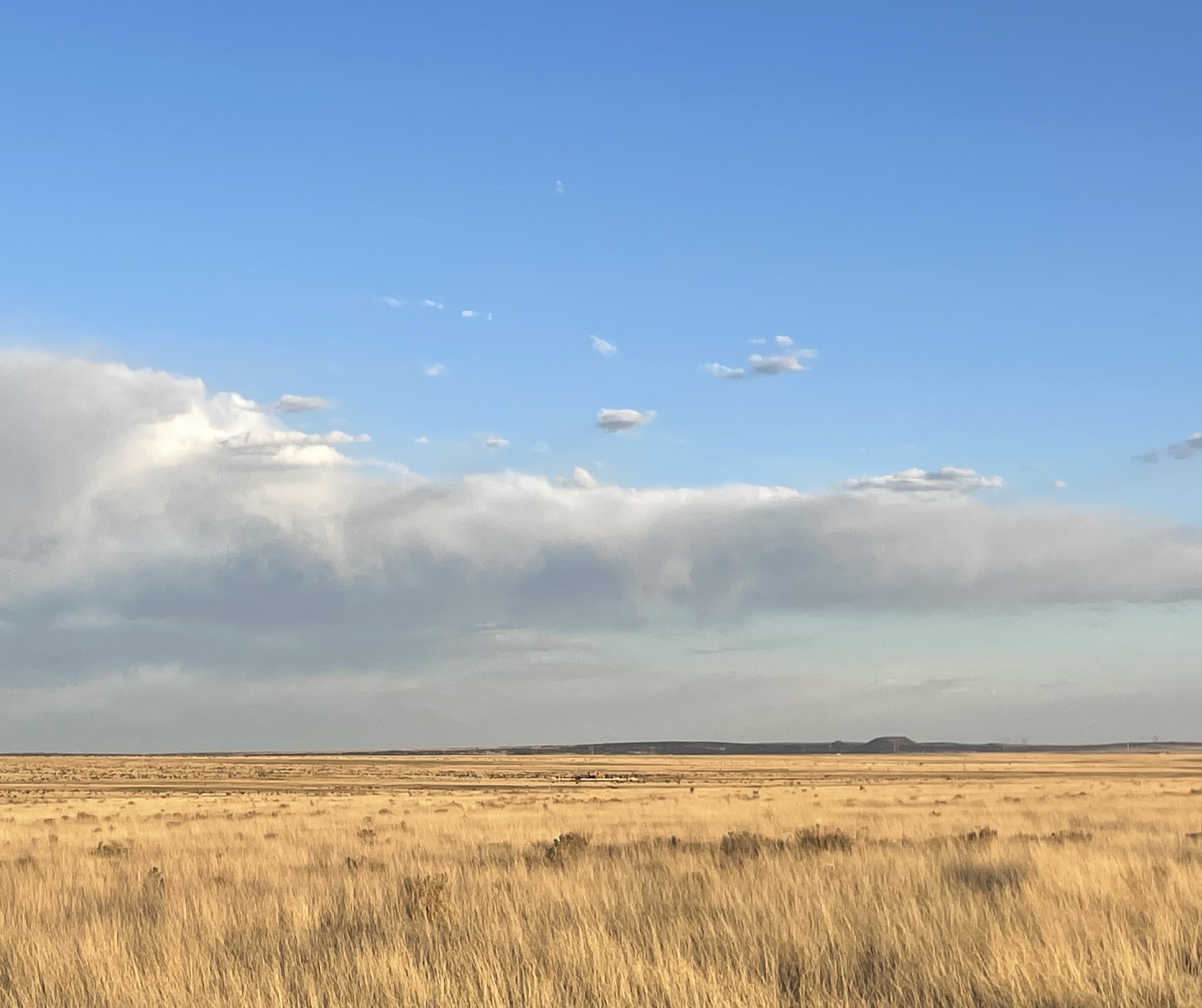 IMG_4595 nature landsacpe