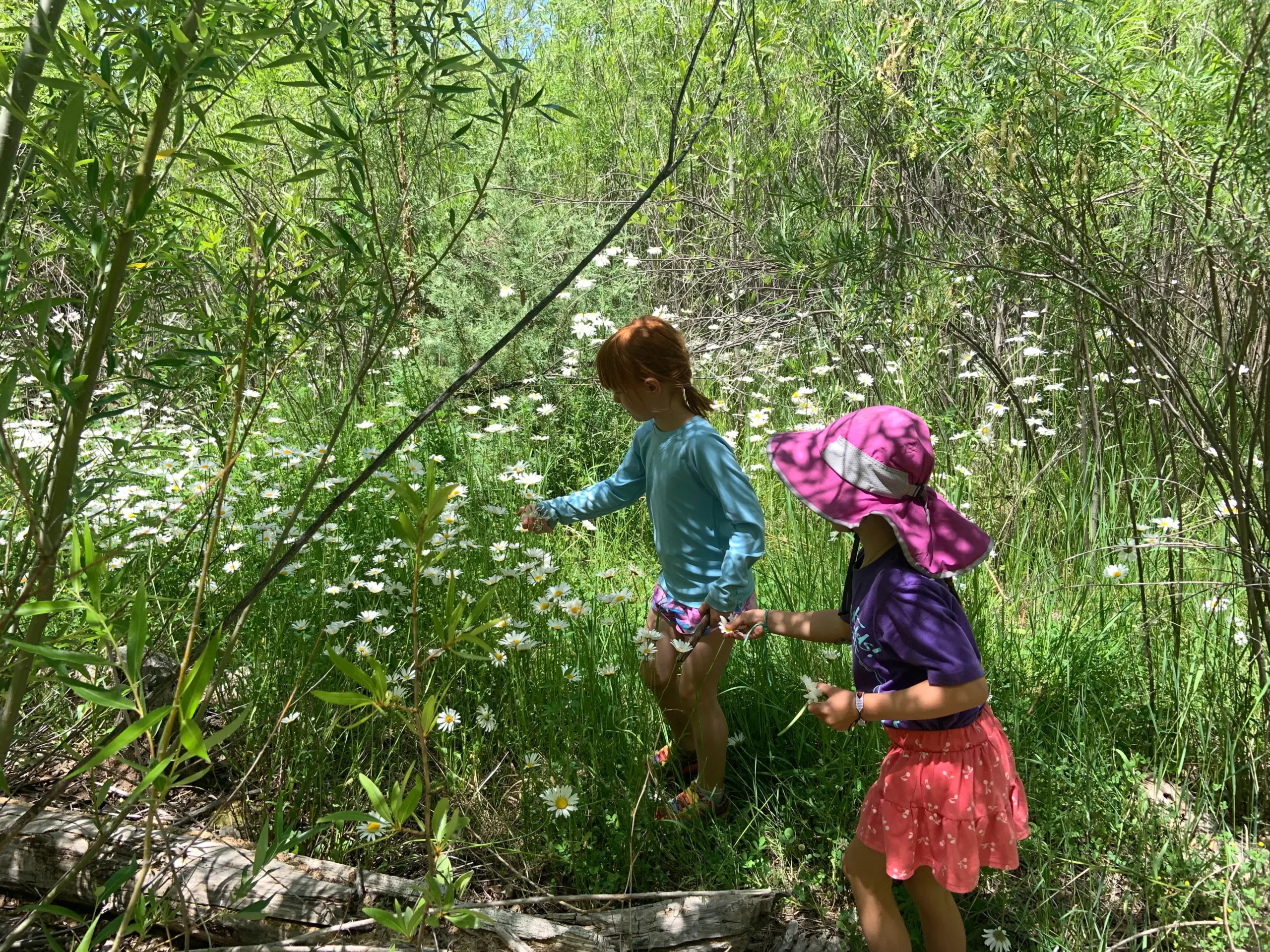 IMG_3767 Courtesy photo: Kids hiking on the Norski Trail.
