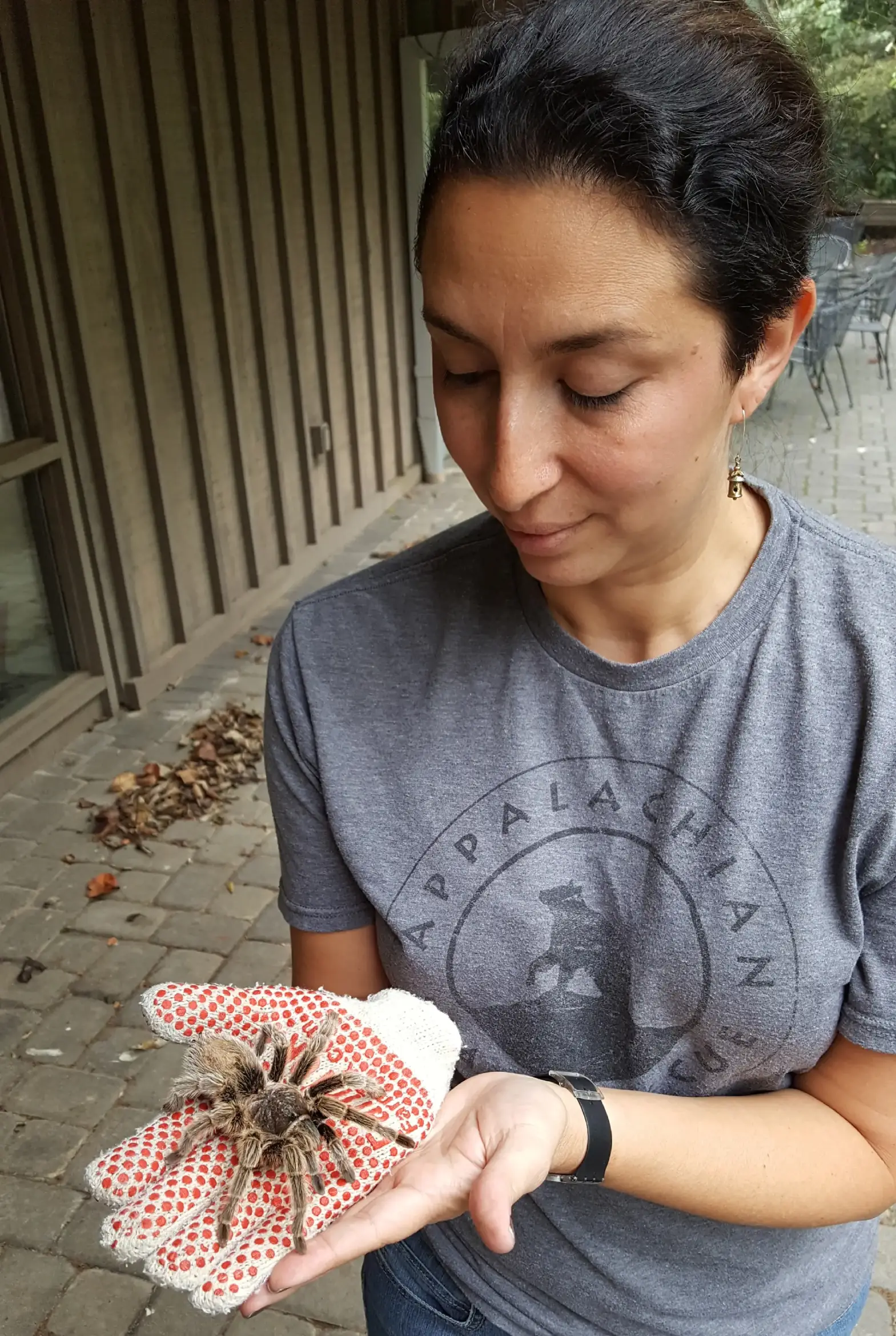 Me and another tarantula-full Me and another tarantula