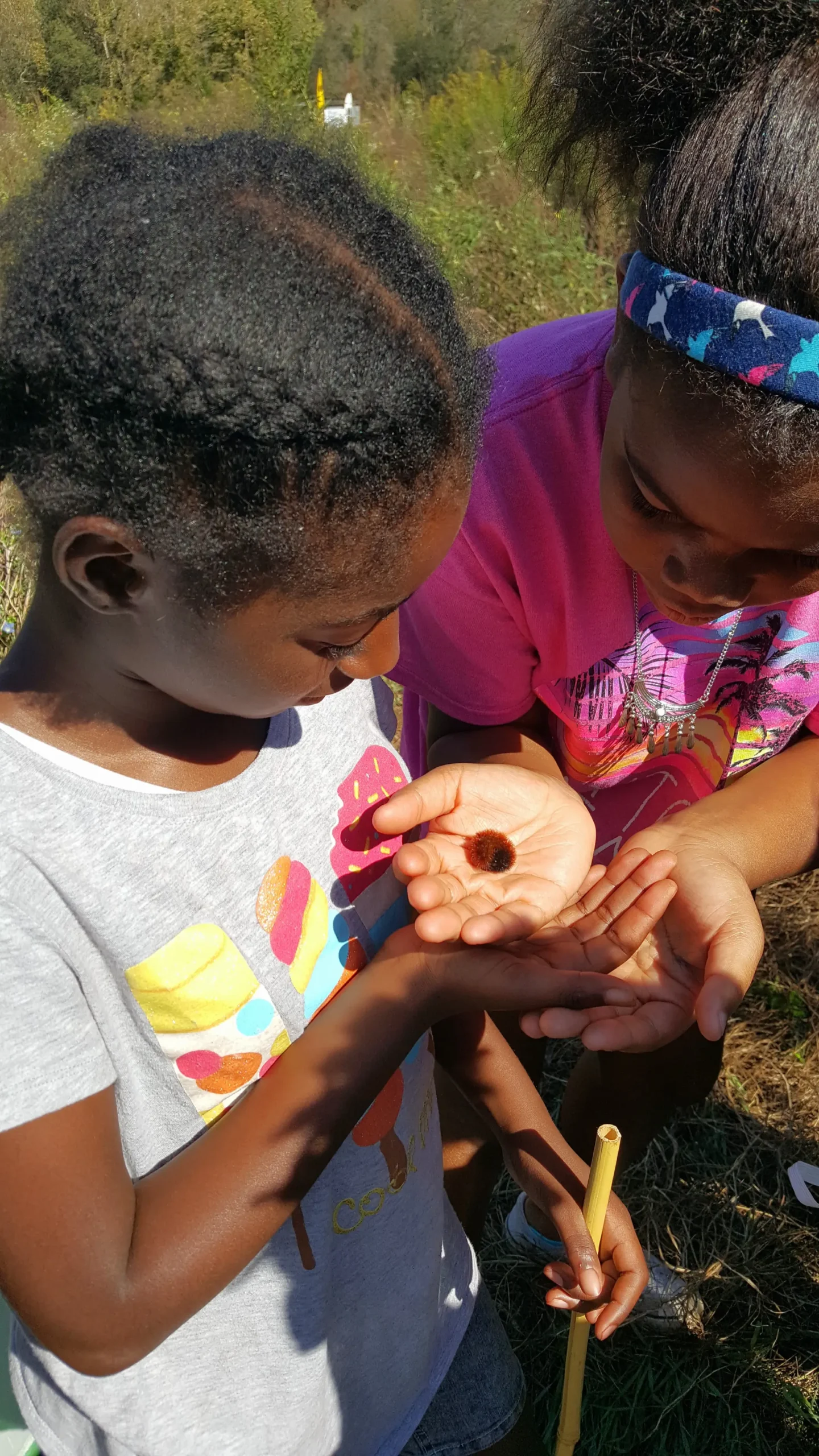 children holding caterpillar